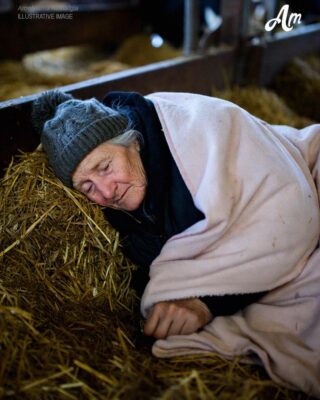 My DIL Kicked Me Out of My Own House and Made Me Live in an Old Cow Barn—But She Didn’t See What Was Coming