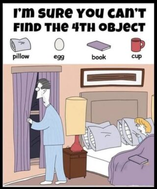 Can you find the book, egg, cup, and pillow?