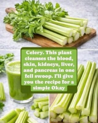 Cleanses the Liver 150 Times More Powerful Than Garlic and Lemon: Grandma’s Miracle Recipe