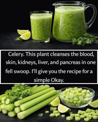 Mediterranean Celery Green Juice