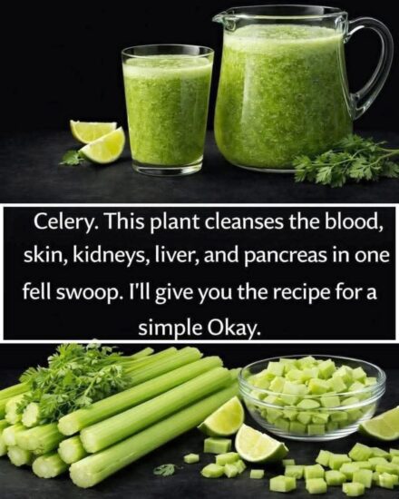 Mediterranean Celery Green Juice