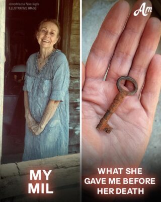 My Mother-in-Law Died and Left Me a Key to the Old Summer House – When I Finally Drove There, I Wished I Hadn’t