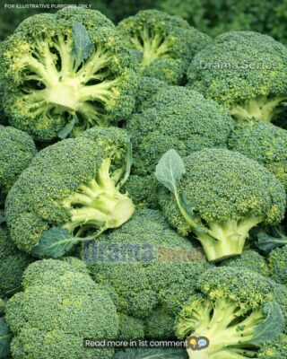 7 Powerful Things That Happen to Your Body When You Eat Broccoli Regularly