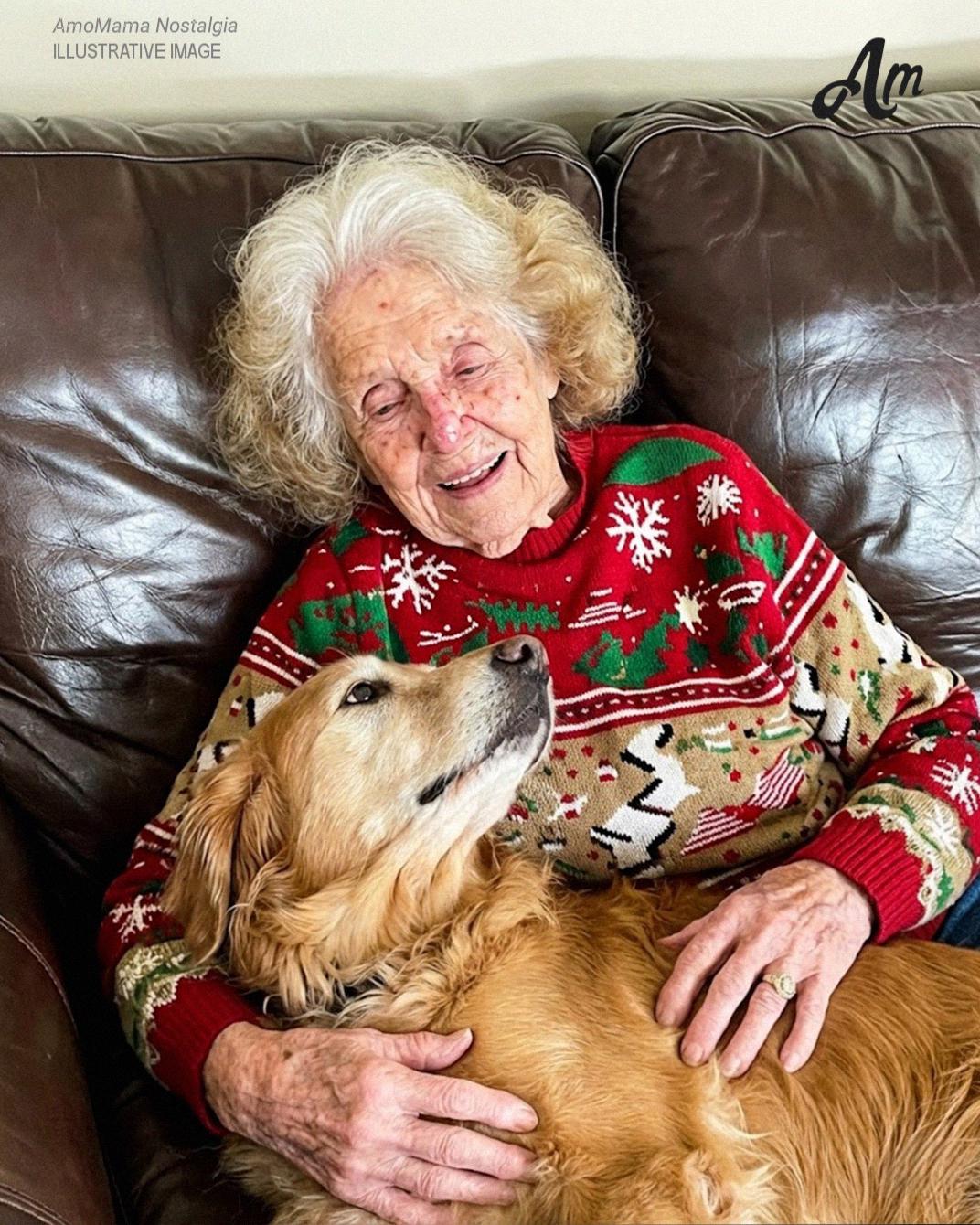 While My Family Fought Over Grandma’s Will, I Was the Only One Who Took Her Beloved Dog and Discovered the Secret She Left Behind — Story of the Day