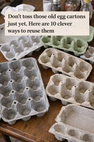 🌿 Don’t Toss Those Old Egg Cartons Just Yet — 10 Clever Ways to Reuse Them