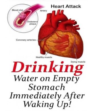 Drinking Water on an Empty Stomach — What Science Actually Says (Beyond the Hype)