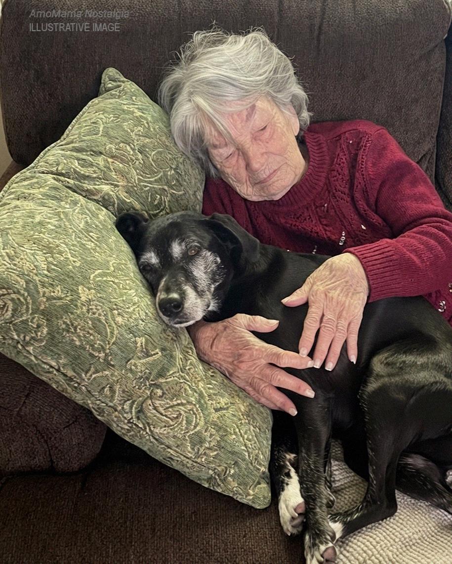 While My Family Fought Over Grandma’s Will, I Was the Only One Who Took Her Beloved Dog and Discovered the Secret She Left Behind — Story of the Day